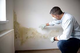 Mold Documentation for Insurance Claims in Amherst, WI